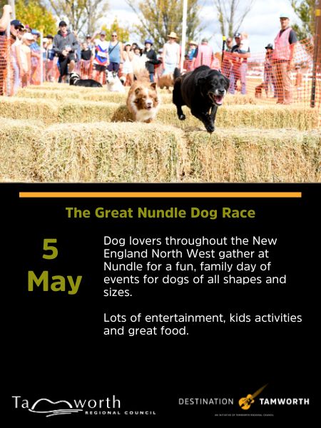 5th May 2024 - The Great Nundle Dog Race