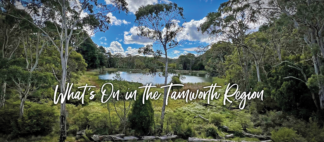 What's On in the Tamworth Region